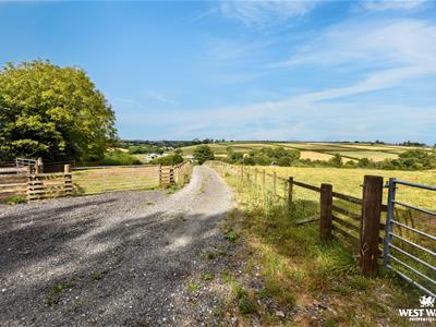 Picture 20